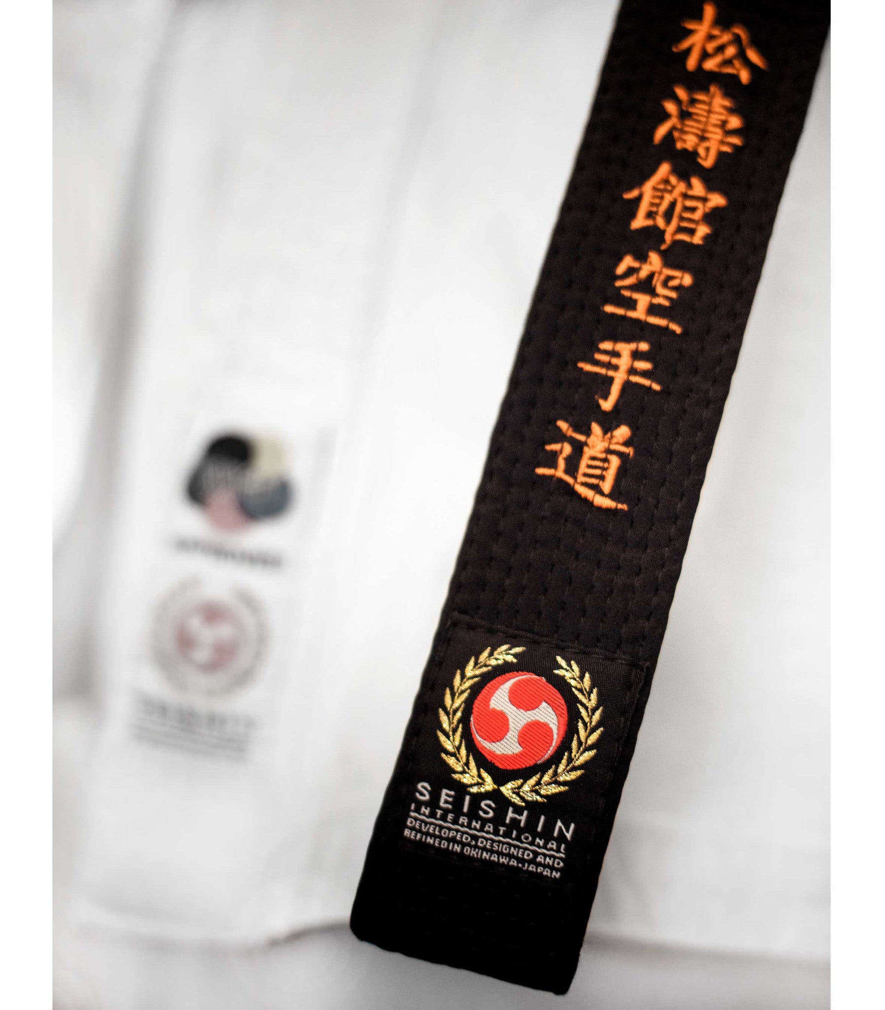 black belt karate logo